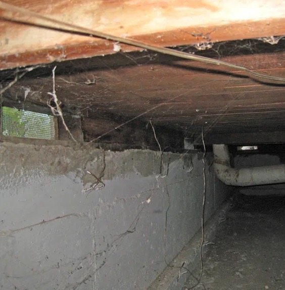 Crawl Space Water Extraction in Surprise, AZ