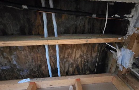 Roof Leak Water Removal in Sunizona, AZ