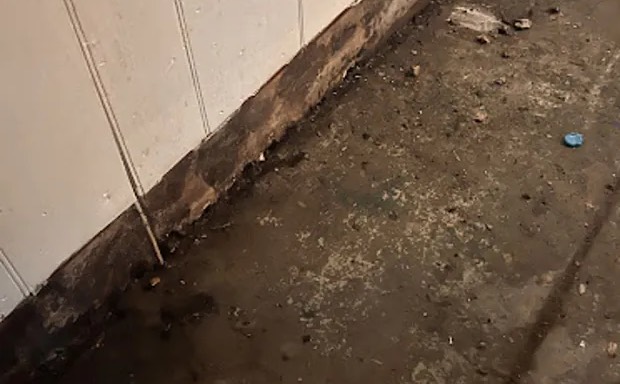 Toilet Overflow Water Removal in Sunizona, AZ