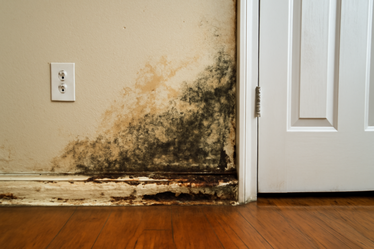Odor Removal After Water Damage